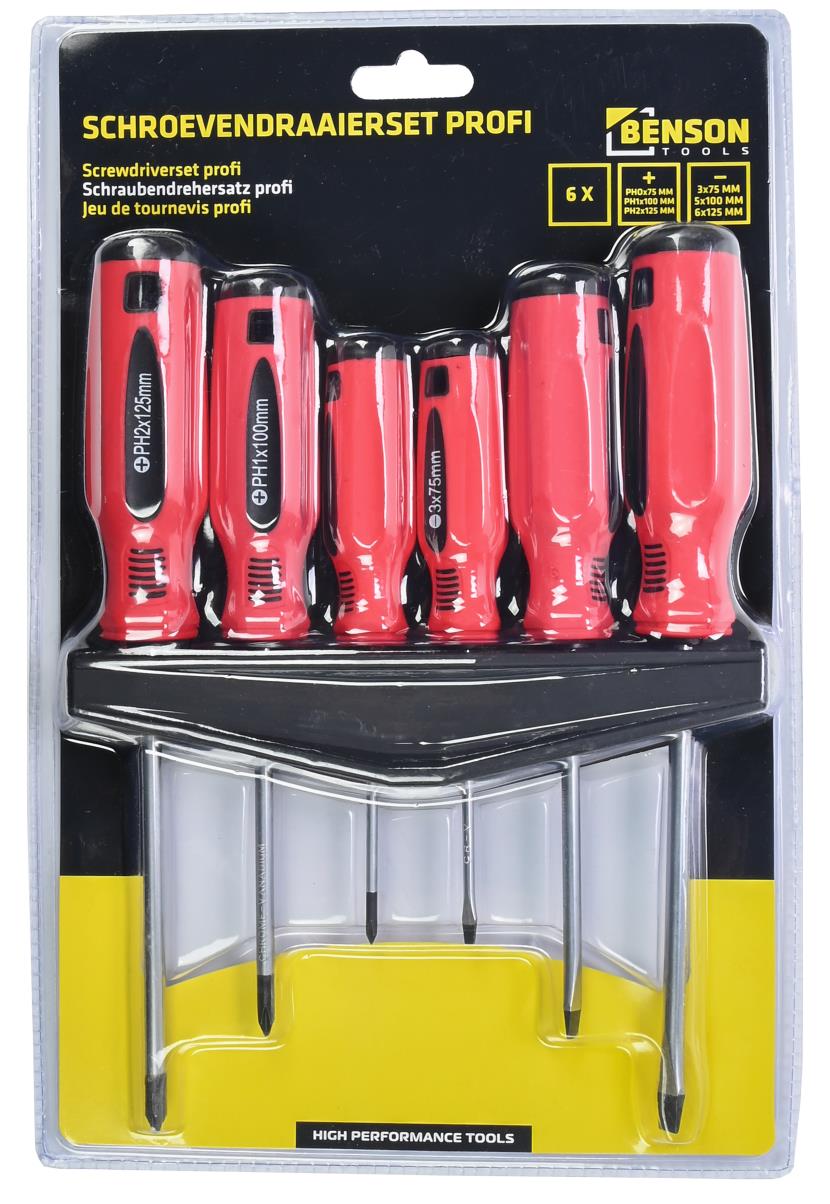 Schroevendraaier set 6 dlg rekje profi