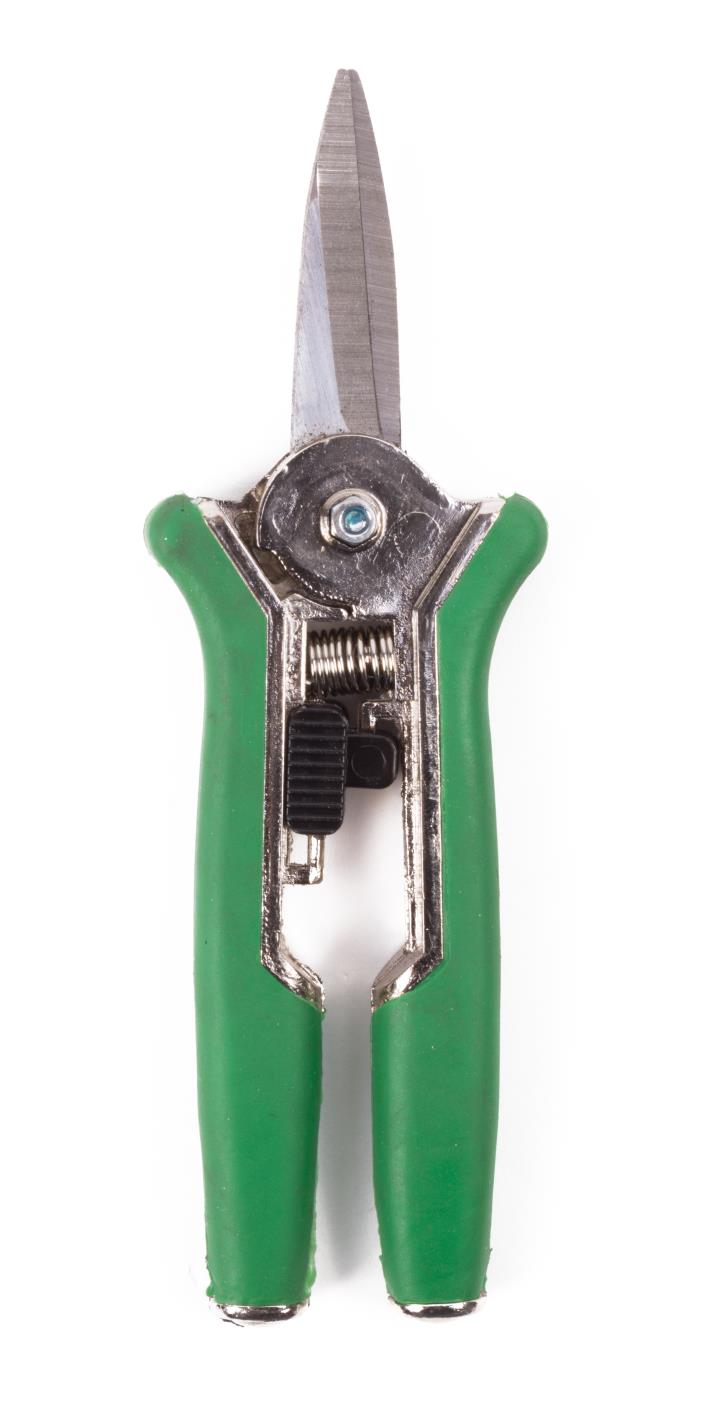 Pruning shears flowers straight chi