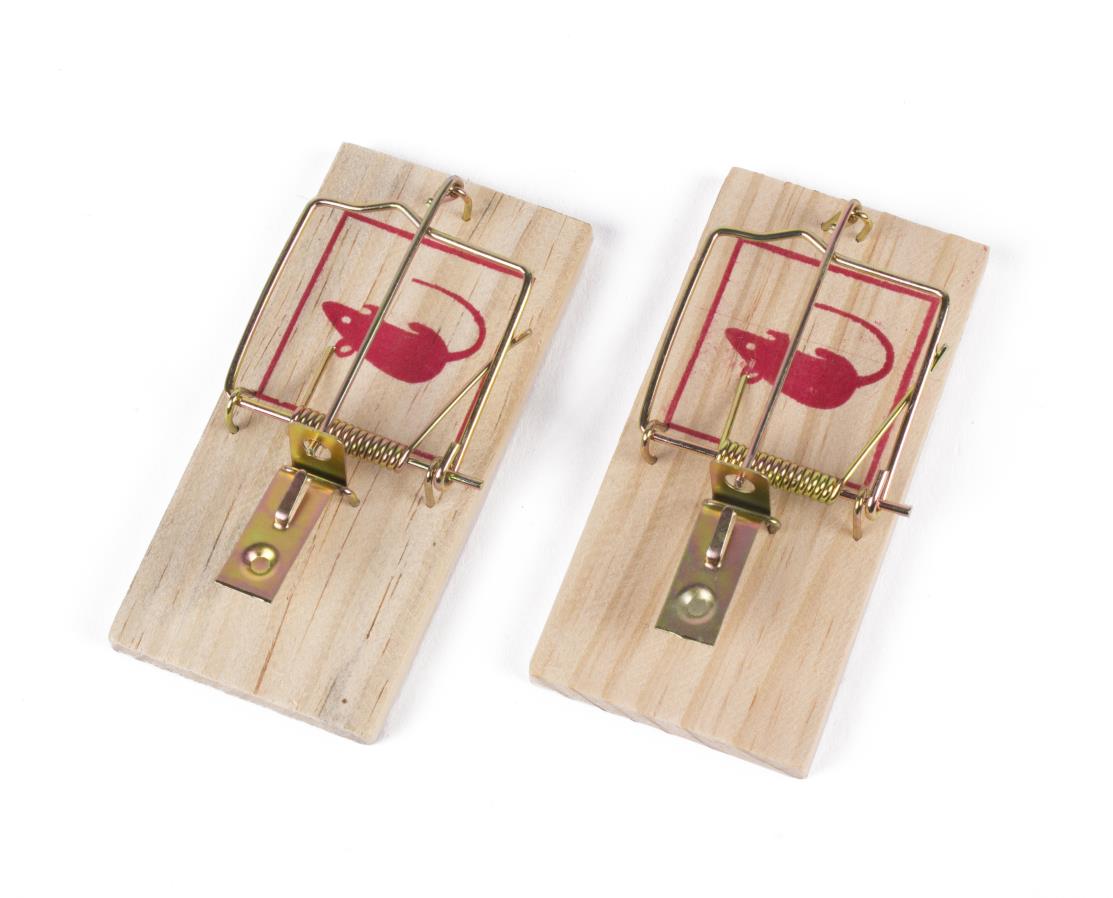 Tapette à souris 2 pcs