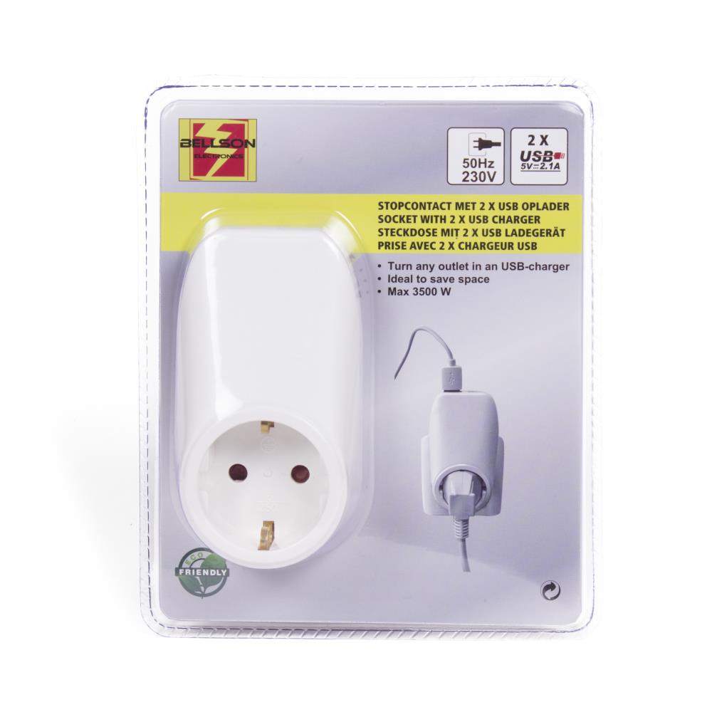 Socket with 2 x USB charger
