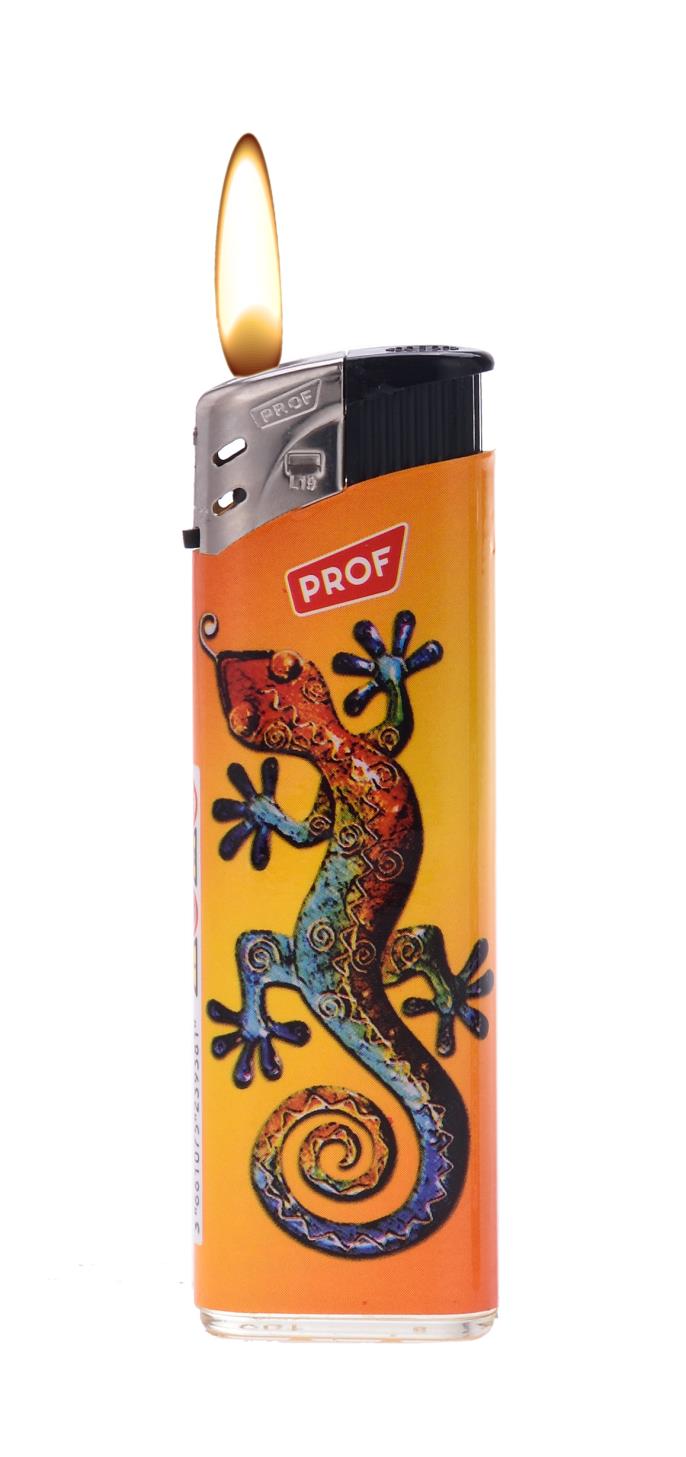 Feuerzeug lizard