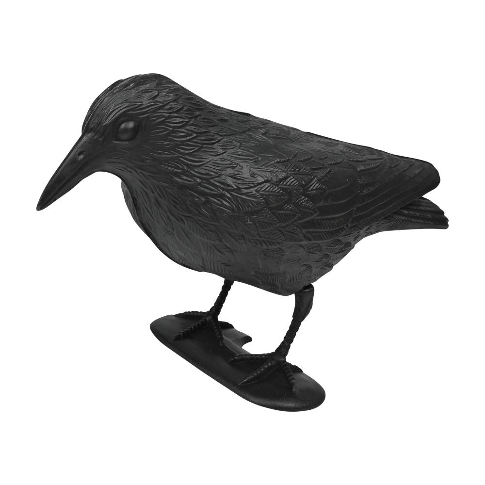 Vogelverschrikker kraai