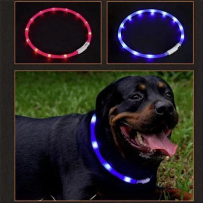 Dog colar LED mix
