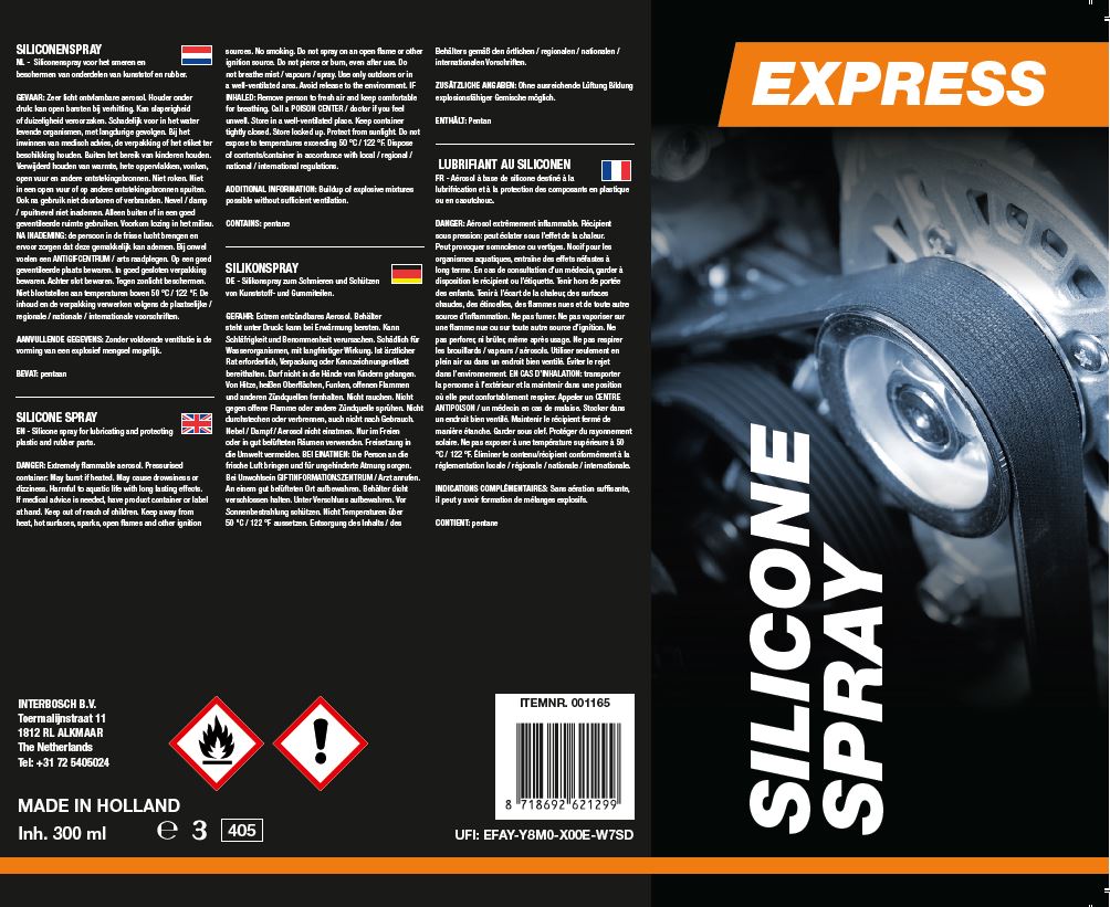 Express silicone spray 300 ml