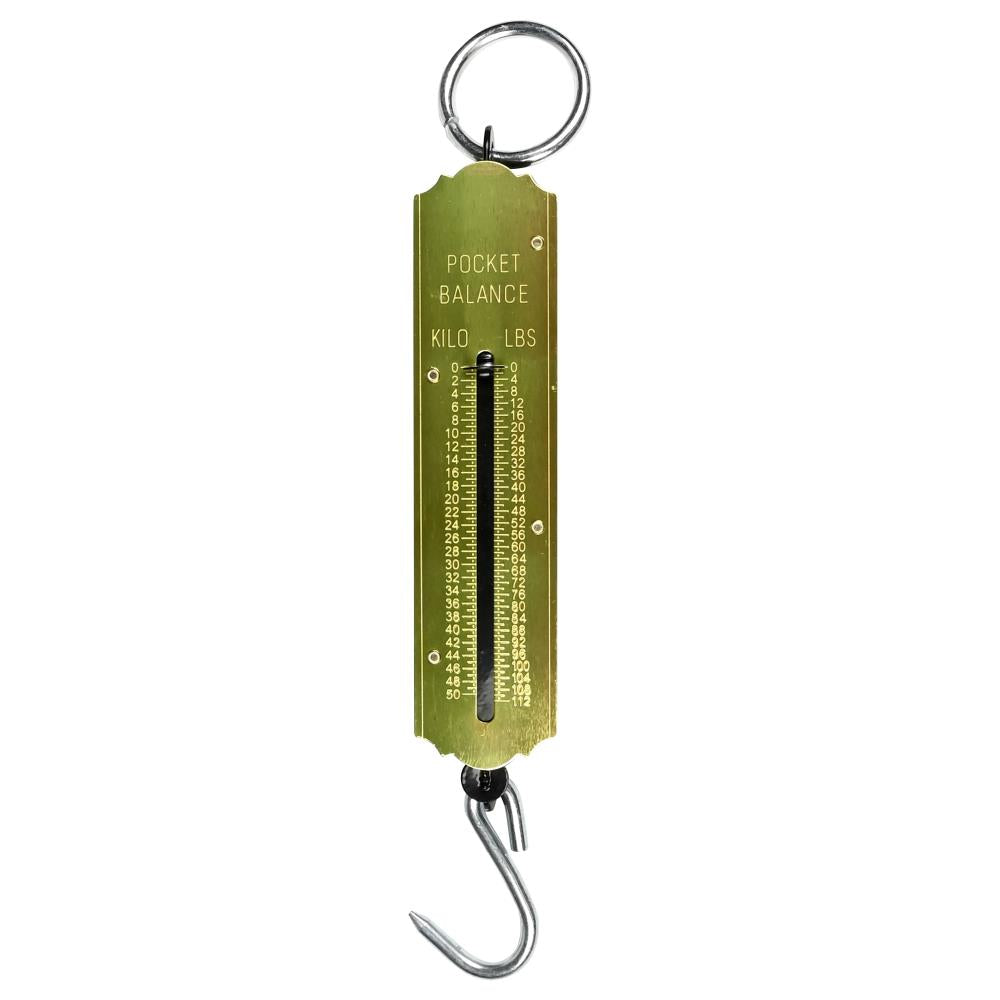 Federwaage Taschenwaage 50 kg