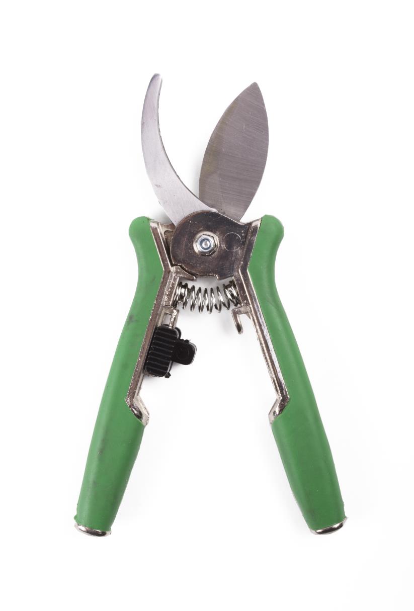 Pruning shears 15 cm flowers curved chi