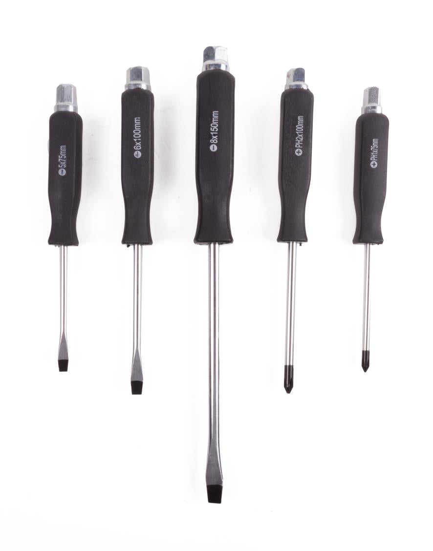 Schroevendraaier set 5 dlg profi