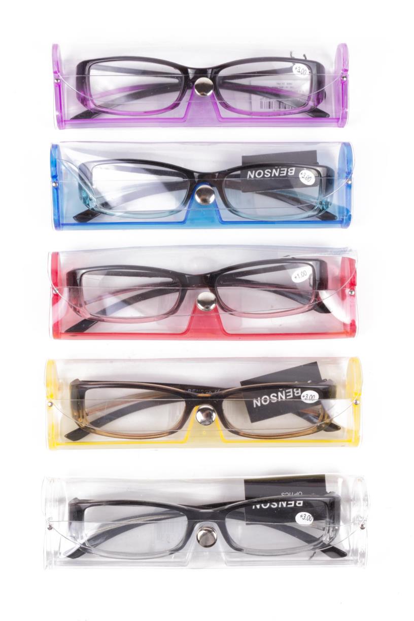 Lesebrille Panama + transparantes Etui Mix Display