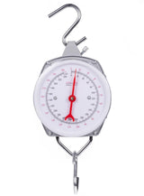 Spring scale 200kg