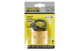 Padlock 50 mm