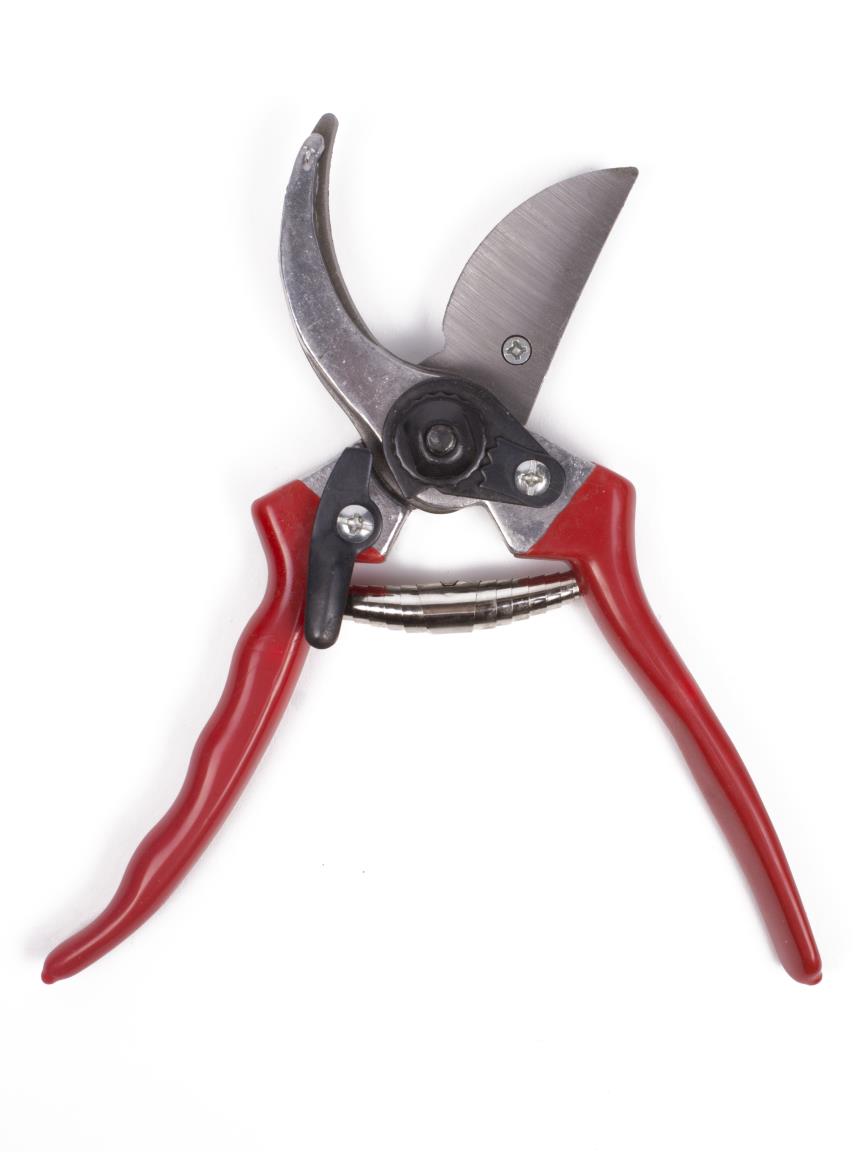 Gartenschere 21 cm 