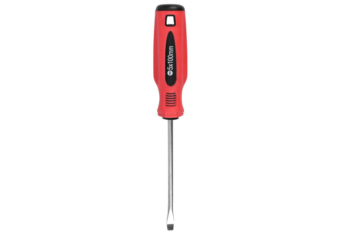 Screwdriver flat 5 x 100 red/black Cr-V