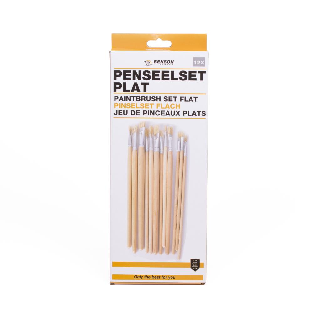 Penseelset 12 dlg plat