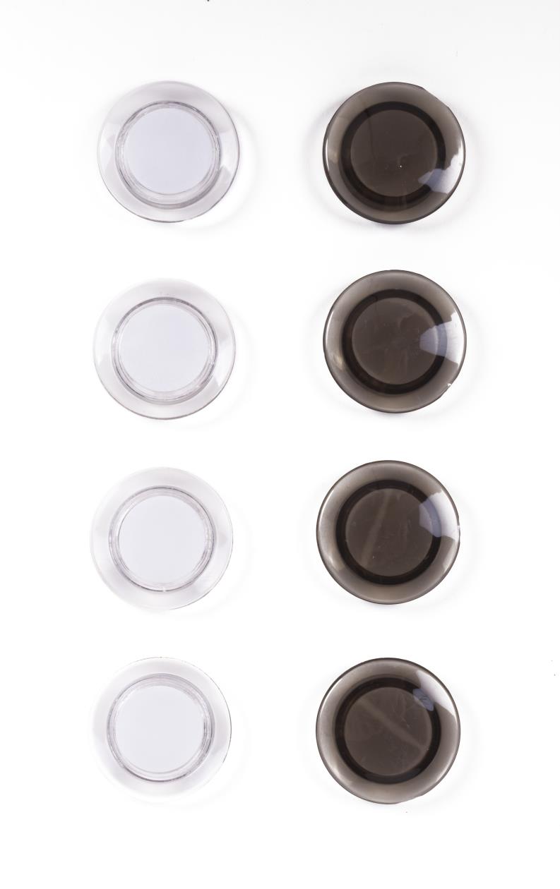 Magnet 30 mm 8 pcs round office