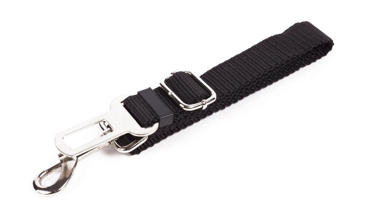 Dog seat belt