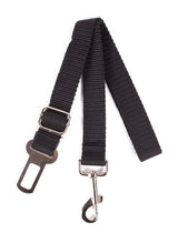 Dog seat belt