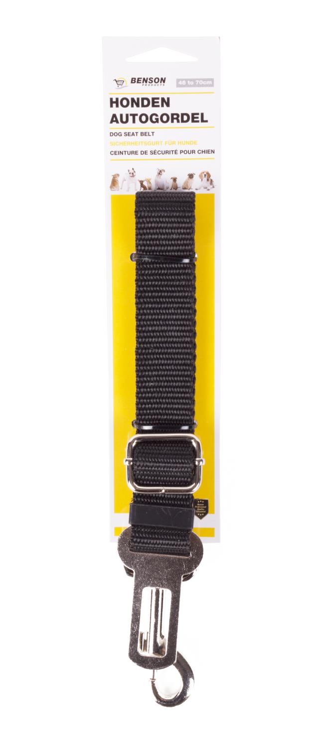 Dog seat belt