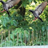 Vogelpinnen 10 dlg