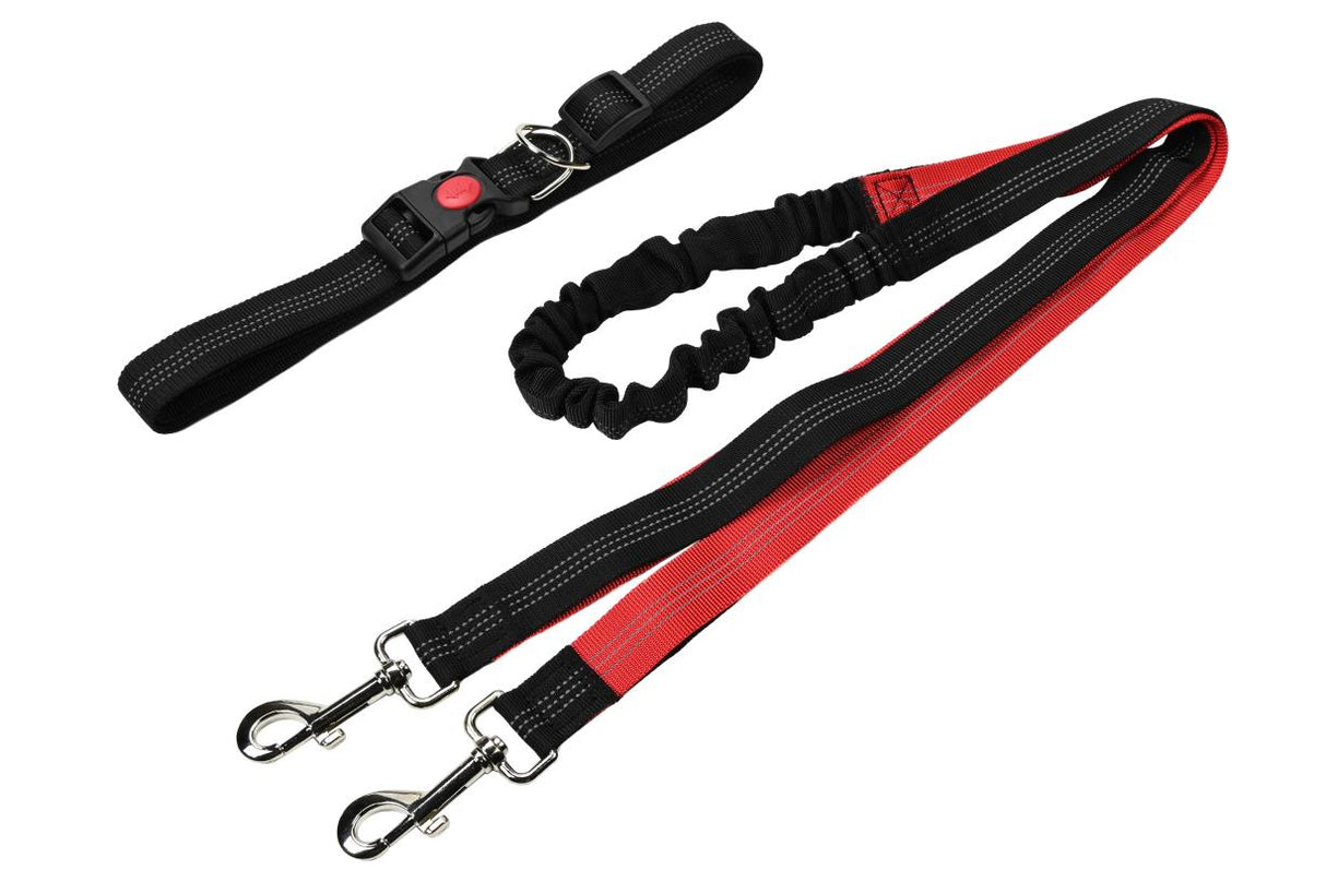 Dog leash hands free