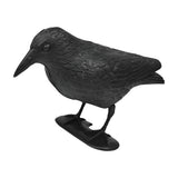 Vogelverschrikker kraai