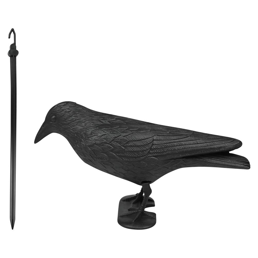 Vogelverschrikker kraai