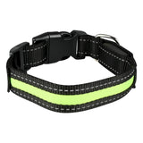 Hundehalsband mit Licht und Reflexion 40 cm