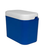 Koelbox 10L