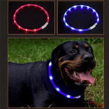 Collier de chien LED mix