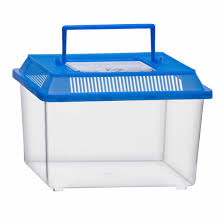 Insectenbox